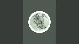 Coffee Time Live | Fox and Robyn Recording #livestream