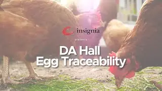 DA Hall - insignia Customer Success Story - Full Length