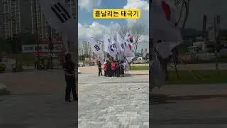 일시청 주최 연대한 fld x 피켓단❤️🇰🇷❤️#참여연대 #태극기부대 #일시청#좌파폭격기tv #윤어게인 #태순이태돌이 #kpop