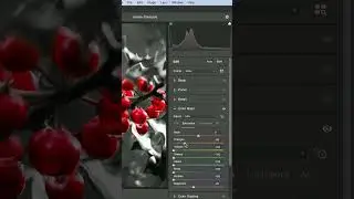 Isolate Colour Photoshop Tutorial #shorts