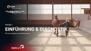 EQUITEC – ein zweiter Blick auf die Zukunft des Pferdesports✨