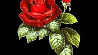 Johnny Rivers - For You.wmv