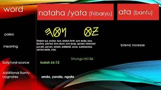 Bantu Hebrew similarities inescapable