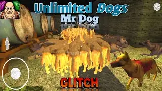 mr dog glitch | mr dog gameplay | mr dog glitches | mr dog