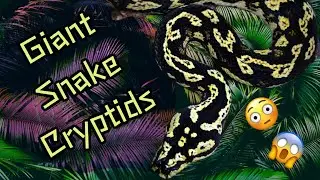 Giant Snake Cryptids from around the World. Monster snakes.