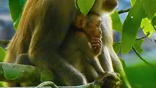 Ashley Giving Warmness To Amanda Baby In Cool Season, The Best Take Care!