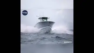 2023 Blackfin 302 CC OVERVIEW #boating #miami #usa #yachts #fortlauderdalebeach