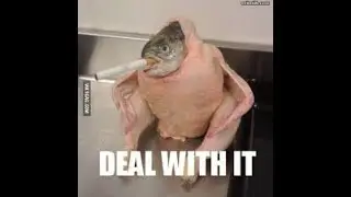 Memes I found on Websim