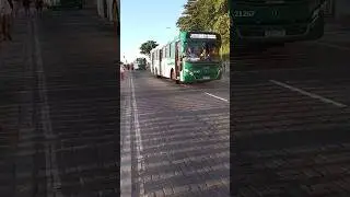 Caio Apache VIP 4 Da Integra OT TRANS Na BARRA #onibus #brasil #urbano #salvador #bahia #bus #shorts