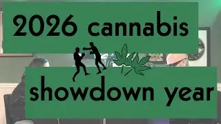 EP 292  - Drinking Your Weed? Research Says THC, Caffeine & CBD Combo Could Warrant Caution.