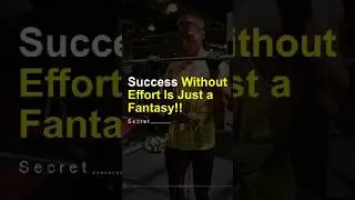 Success without effort is just a fantasy!! #motivation #mindset #elevation #success #inspiration