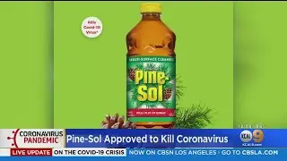 Pine-Sol Added To List Of Disinfectants That Kill COVID-19