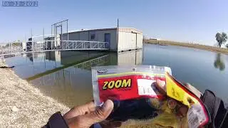 Shakespeare baitcast caster quick review and 9 min of fishing