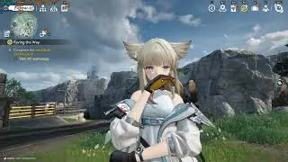 60 FPS on ARKNIGHTS: ENDFIELD  with GTX 1650 Ti ?