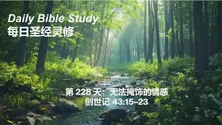 Daily Bible Study Day 228