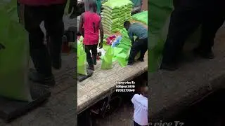 All kinds of rice is available at affordable price✅#duet #rice #shorts #viral #food #wholesale #fyp