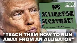 Trump tours 'Alligator Alcatraz' immigration center with gator guards opens in Florida