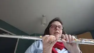 Fairy lights flute hack