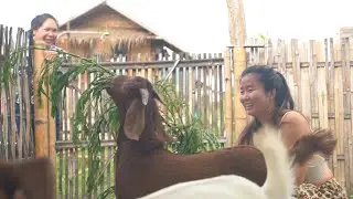 My spiritual journey in rural Thailand: 3 Years of Reflections from my off-city life