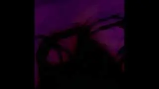 Astrobrite - Wandering Birds (Blind)