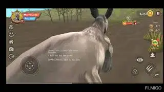 || WarCLAN Vs zMakhor WcFighters and BlazingLegions Noobs || (PART 1)