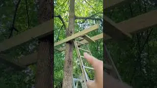 Oops # 7 (single tree treehouse build)