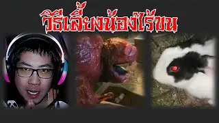 Vita Carnis ตอน6 วิธีเลี้ยงน้องไร้ขน การวิจัยก้อนเนื้อมีชีวิต  #สยองขวัญวันศุกร์