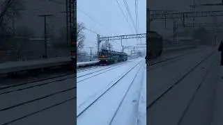 2ТЭ116-1704 &laquo;БТС&raquo; Резервом проезжает станцию Сиверская