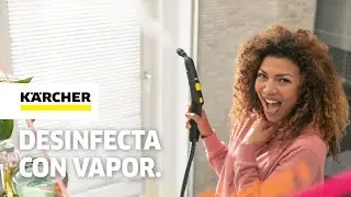 Limpieza profunda con vapor