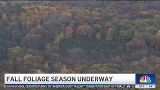 Fall foliage in Illinois: When to expect fall colors to change and hit their peak