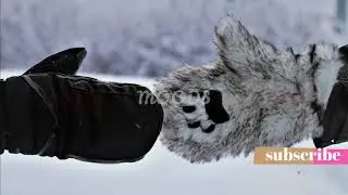 Silent Partner | Winter Embrace