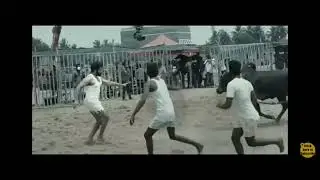 vaadivasal official trailer suriya mass scene on