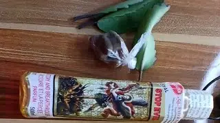 Stop Evil, Stop Monitoring Spirit  with this powerful and simple Materials