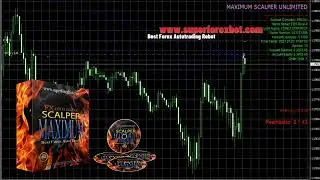 🚀 BEST FOREX BOT 2025 🚀