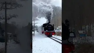 Winterdampf mit 99 4801 in G&ouml;hren