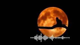 Night Owl Radio - Midnight Music  Late night music for Relaxing, Studying, and Driving