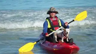 She Followed Me Everywhere | The Ultimate Adventure Dog