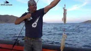 Ψαρεύοντας καλαμάρια από σκάφος και ζώκα με ζωντανό καλαμάρι