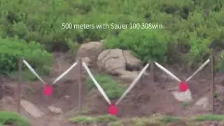 500 meters with Sauer 100 XT 308Win