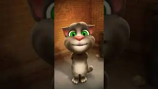 #funny #cat #song #shorts #video #2221 hai 😈😈🤣🤣🤣