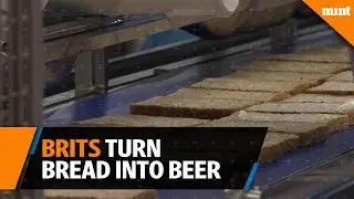 In food waste fight, Brits turn bread into beer