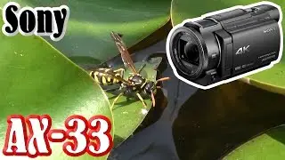 Sony FDR-AX33 / XAVC S - 50p / Amazing Grace [Full HD]