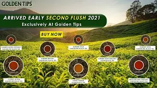 Early SECOND FLUSH 2021 Teas Arrived | Goldent Tips Tea