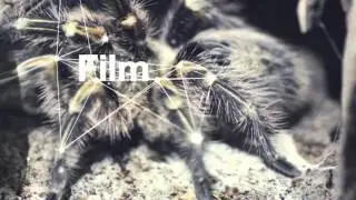 Multimedia Design Showreel - 1