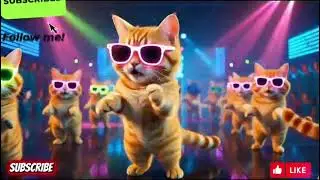 Realistic Dancing Cats in Night Club | Funny Cat Dance |Beautiful cat dancing video #viralvideo 