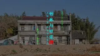 Direct Cinema: Bamboo Groves and the Old House #directcinema #observationaldocumentary