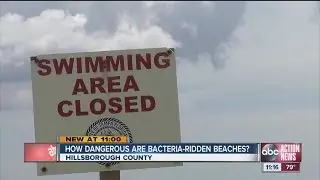 How dangerous are bacteria-ridden beaches?