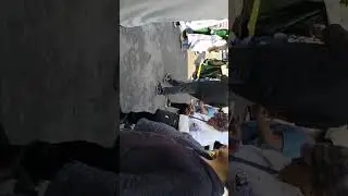 Chinelos celebrando la fiesta patronal de la virgen de la soledad en valle de Chalco 