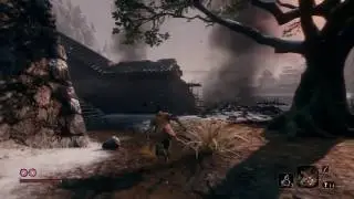 How To Cure Dragonrot in Sekiro Shadows Die Twice