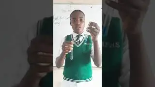 BIOLOGY CLARIFIED: FEHLING'S SOLUTIONS TEST ON SUGAR/ SERIES 1